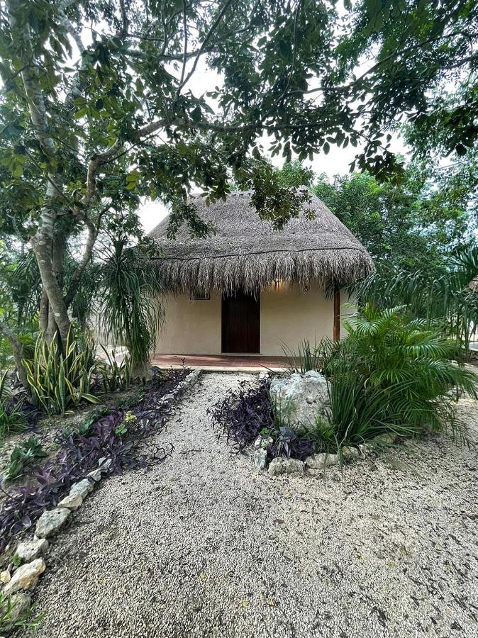 メリダ El Pueblito Dzibichaltunヴィラ エクステリア 写真